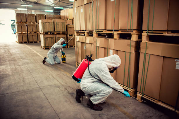 Best Pest Removal Services  in Forest Heights, TX