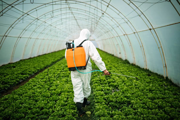 Best Pest Removal Services  in Forest Heights, TX