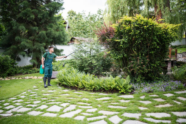 Best Pest Inspection Near Me  in Forest Heights, TX