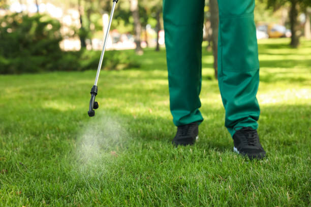 Best Emergency Pest Control  in Forest Heights, TX