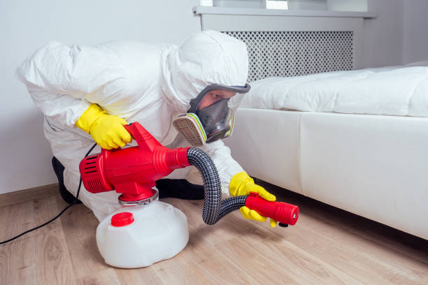 Best Pest Prevention Services  in Forest Heights, TX
