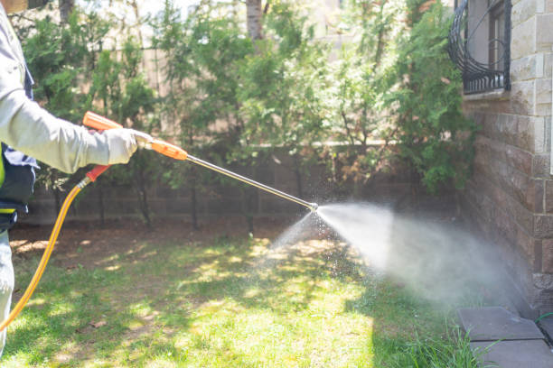 Best Commercial Pest Control Services  in Forest Heights, TX