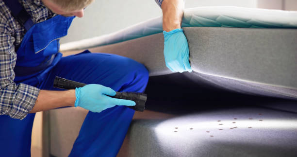 Best Pest Control Near Me  in Forest Heights, TX