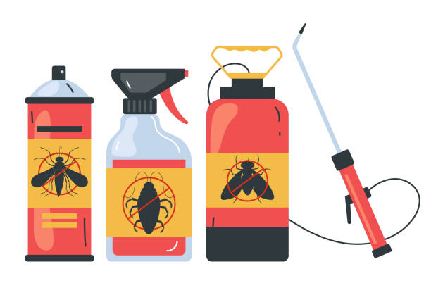 Best Flea Control Services  in Forest Heights, TX