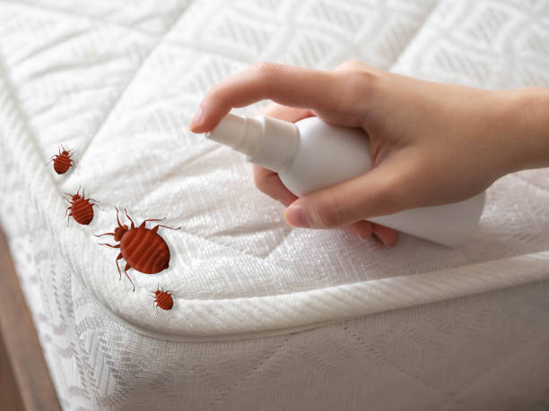 Best Residential Pest Control  in Forest Heights, TX