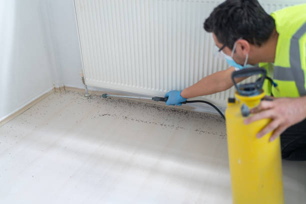 Reliable Forest Heights, TX Pest Control Solutions